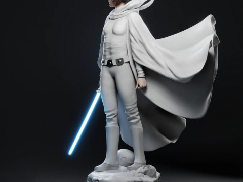 Princess Leia - Star Wars 3D 프린트 모델