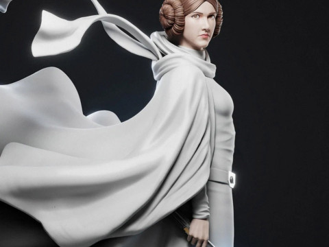 Princess Leia - Star Wars 3D 프린트 모델
