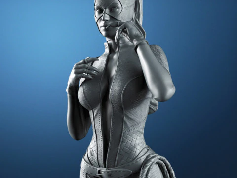 Catwoman Figure 3D Print Model