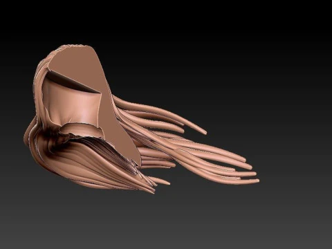 Mara Jade - Star Wars 3D Print Model