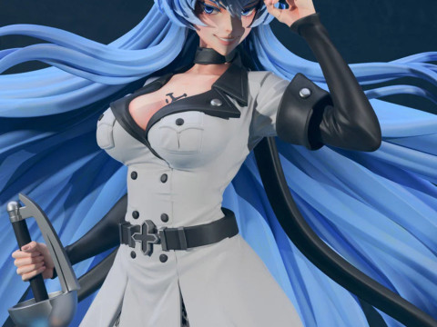 Esdeath - Akame Ga Kill Modello di stampa 3D