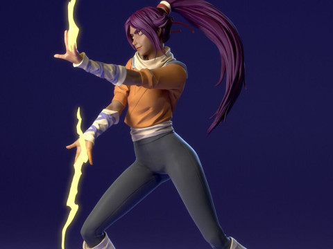 Yoruichi Shihoin 3Dプリントモデル