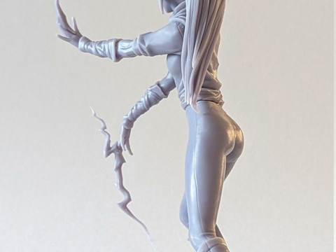 Yoruichi Shihoin 3Dプリントモデル