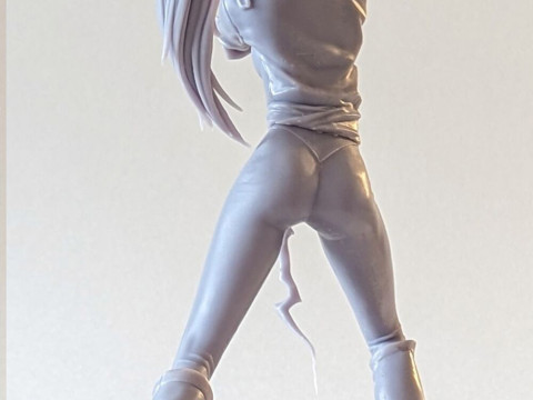 Yoruichi Shihoin 3Dプリントモデル