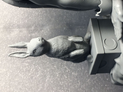 Mirko My Hero Academia Model Cetak 3D