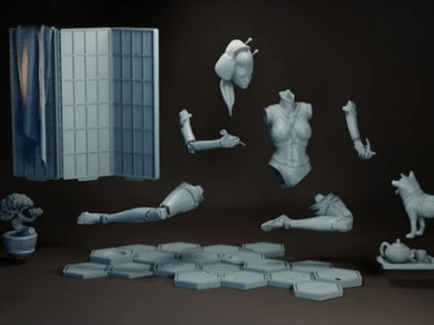 H1N4 The Cyborg Geisha 3D Print Model