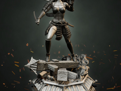 Stormtrooper Samurai 3D Print Model