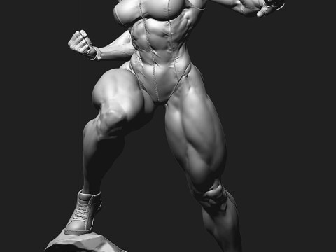 She Hulk 3D 프린트 모델