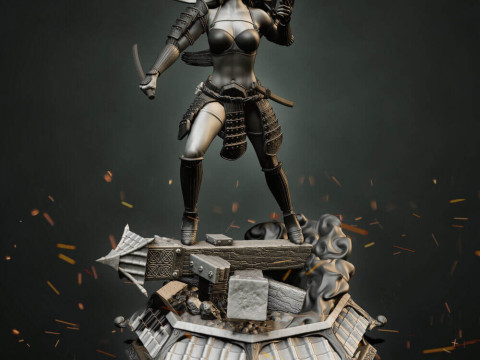Stormtrooper Samurai 3D Print Model