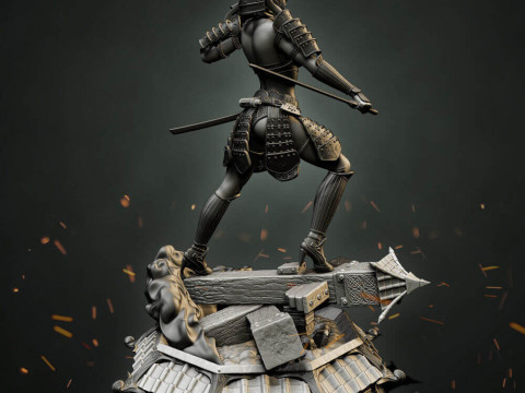 Stormtrooper Samurai 3D 打印模型