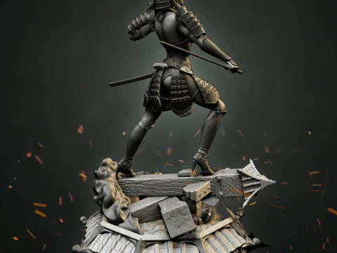 Stormtrooper Samurai 3D Print Model
