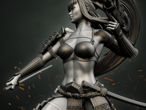 Stormtrooper Samurai 3D 打印模型