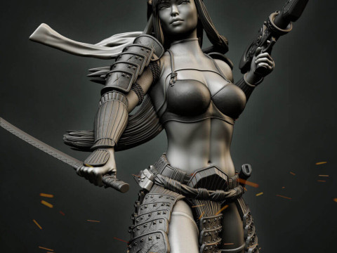 Stormtrooper Samurai 3D 打印模型
