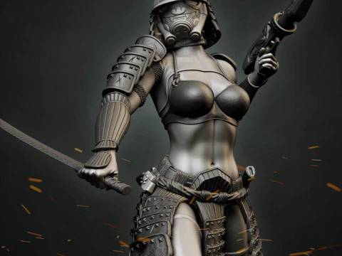 Stormtrooper Samurai 3D Print Model