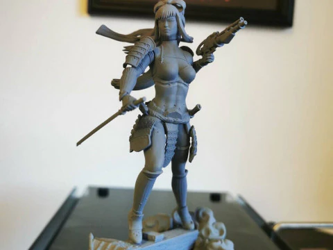Stormtrooper Samurai 3D Print Model