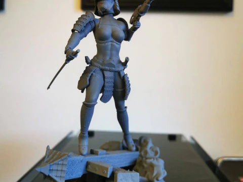 Stormtrooper Samurai 3D Print Model