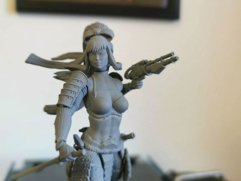 Stormtrooper Samurai 3D 打印模型