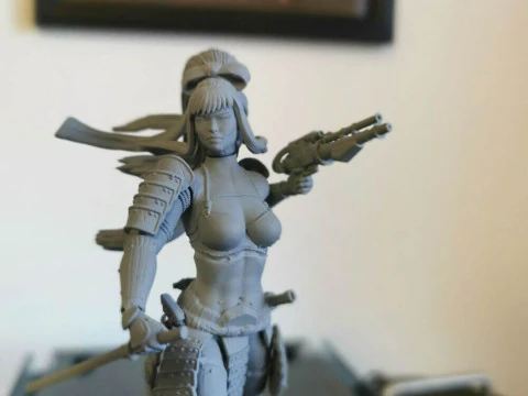 Stormtrooper Samurai 3D Print Model