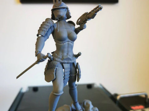 Stormtrooper Samurai 3D Print Model