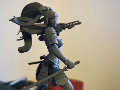 Stormtrooper Samurai 3D Print Model