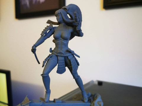 Stormtrooper Samurai 3D 打印模型