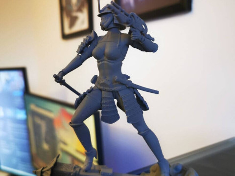 Stormtrooper Samurai 3D 打印模型