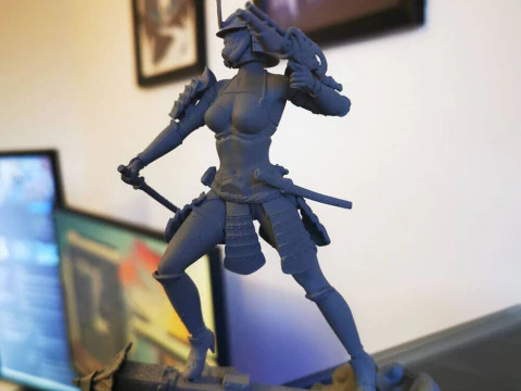 Stormtrooper Samurai 3D Print Model