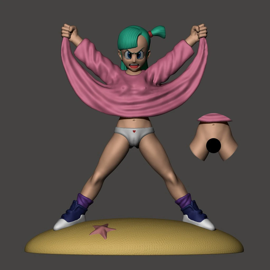 Bulma Flashes Master Roshi 3D Print Model .c4d .max .obj .3ds .fbx .stl .blend