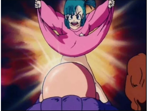 Bulma Flashes Master Roshi 3D 프린트 모델