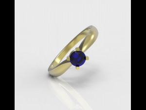 Ring 3D 프린트 모델