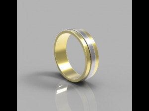 Ring 2 colors 3D Принт Модель
