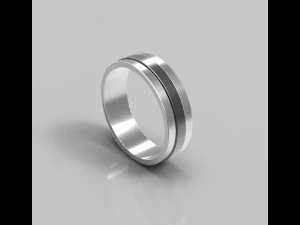 Ring 2 colors 3D Print Model