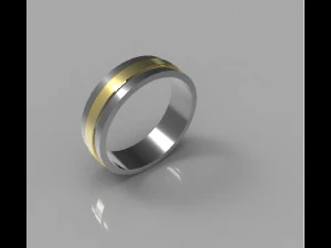 Ring 2 colors 3D Print Model