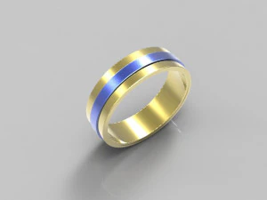 Ring 2 colors 3D Print Model