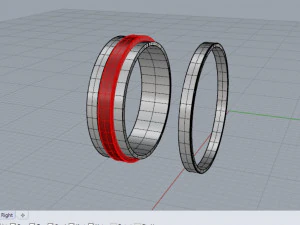 Ring 2 colors 3D Print Model