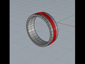 Ring 2 colors 3D Print Model