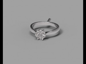 Ring 3D Print Model