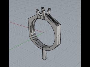 Ring 3D Print Model