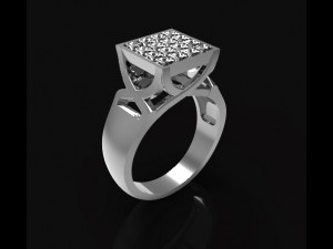 Ring 3D 프린트 모델