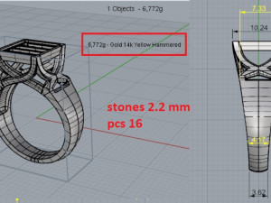 Ring 3D 프린트 모델