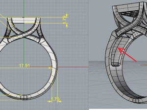 Ring 3D 프린트 모델