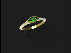 Ring 3D Druckmodell