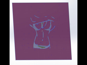 22 DXF File CNC g-code Industrial Laser Cut WOMEN Vinil PANEL Nr0524 Modello 3D
