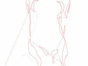 14 DXF File CNC g-code Industrial Laser Cut WOMEN Vinil PANEL Nr0526 3D Model