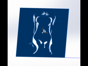 14 DXF File CNC g-code Industrial Laser Cut WOMEN Vinil PANEL Nr0526 3D 模型