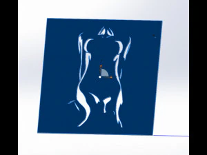 14 DXF File CNC g-code Industrial Laser Cut WOMEN Vinil PANEL Nr0526 3D Model