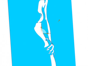 18 DXF File CNC g-code Industrial Laser Cut WOMEN Vinil PANEL Nr0527 3D Модель