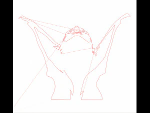 18 DXF-Datei CNC G-Code Industrial Laser Cut WOMEN Vinil PANEL Nr0527 3D Modell