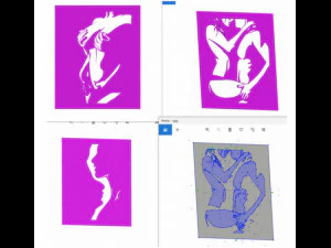 11 DXF File CNC g-code Industrial Laser Cut WOMEN Vinil PANEL Nr0528 3D Model