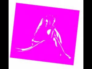 11 DXF File CNC g-code Industrial Laser Cut WOMEN Vinil PANEL Nr0528 3D Model